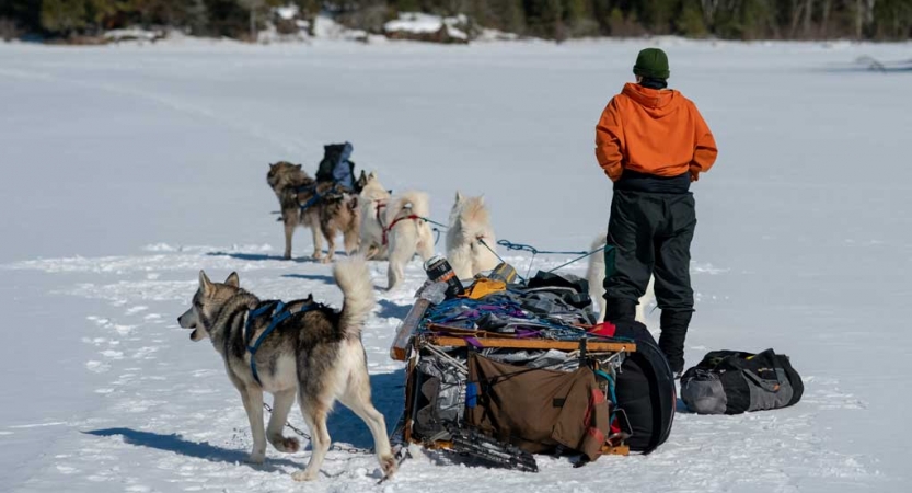 A team of sled dogs and their musher take a break in a snowy landscape.